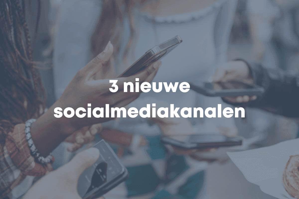 blog afbeelding blue flamingos