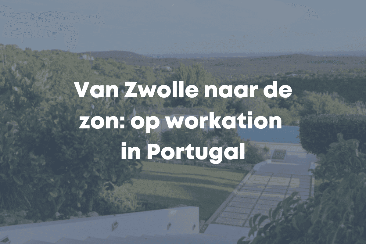 blog afbeelding blue flamingos