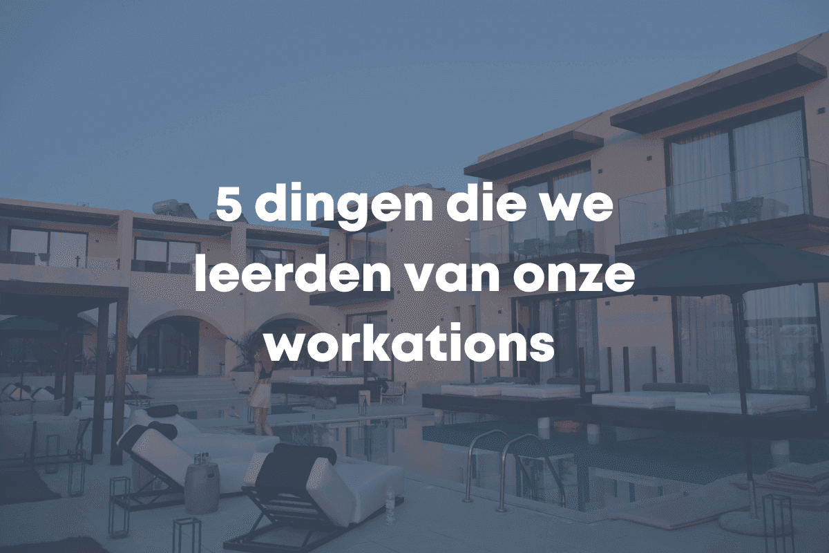 blog afbeelding blue flamingos