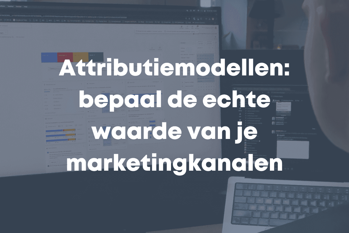 blog afbeelding blue flamingos