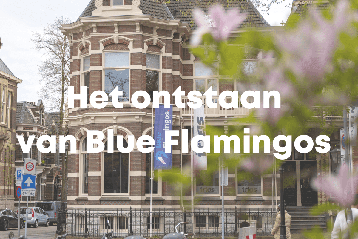 blog afbeelding blue flamingos