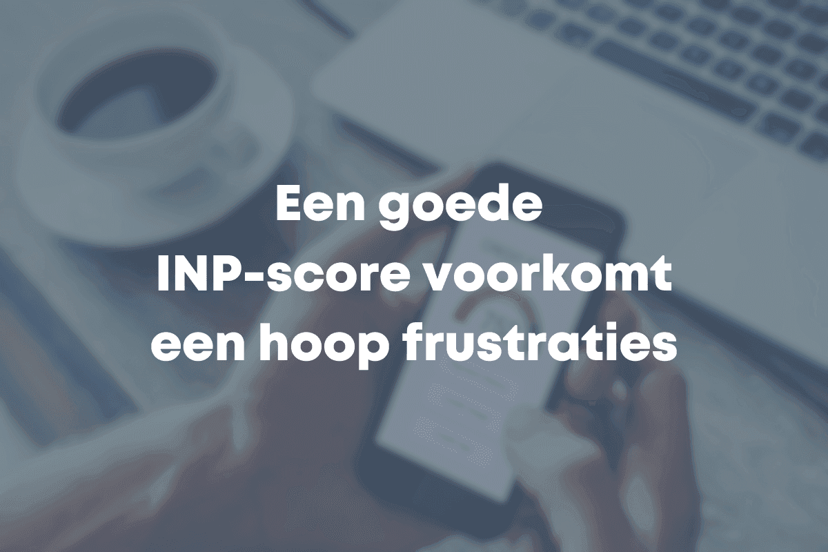 blog afbeelding blue flamingos