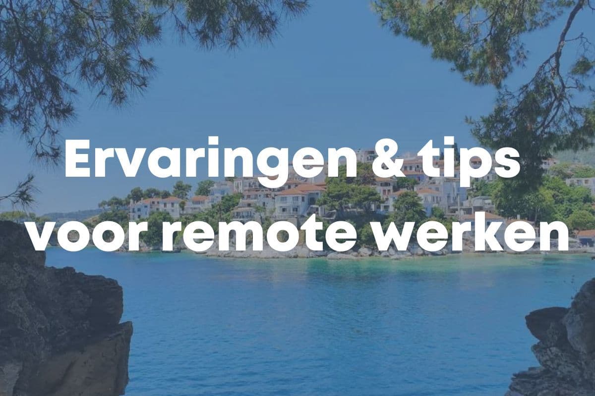 blog afbeelding blue flamingos
